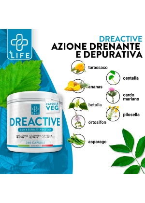 DECO DREN WHY NATURE DECO DREN WHY NATURE