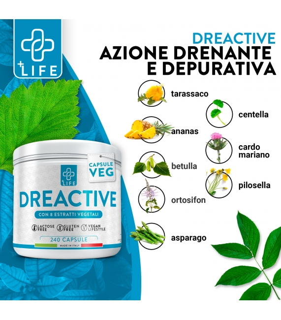 DECO DREN WHY NATURE DECO DREN