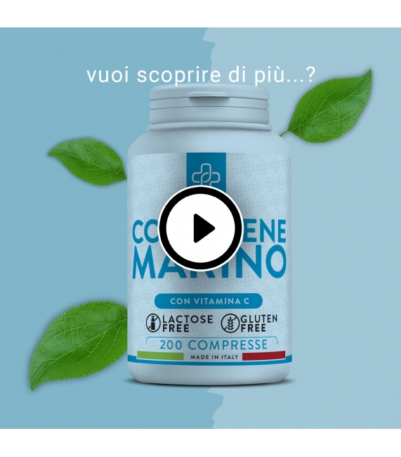 maccarozone sedani ciao carb SEDANI STAGE 1
