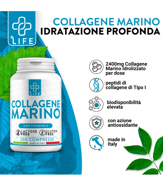 riso ciao carb RISO 14%