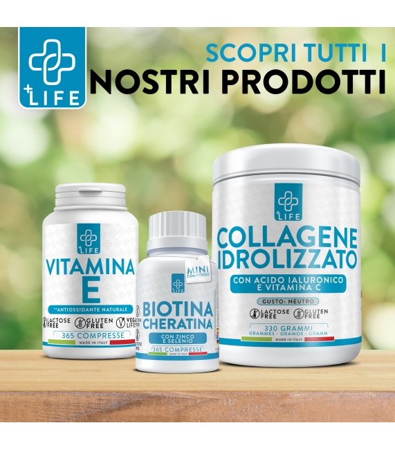 crostino ciao carb CROSTINO