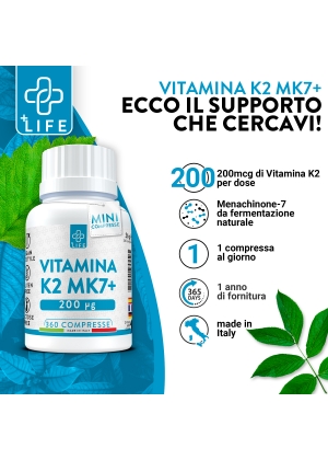 ZMA LUXURY 1 ZMA LUXURY 1