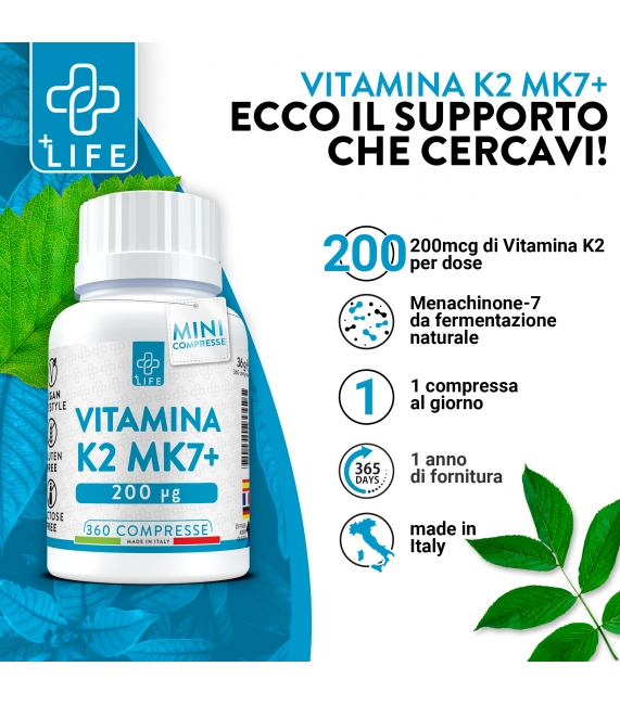 ZMA LUXURY 1 ZMA