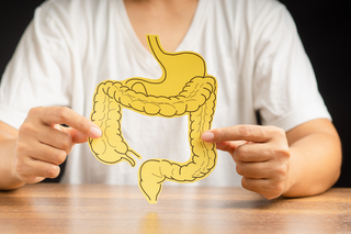 Microbiota intestinale: cos’è e come mantenerlo in equilibrio