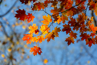 5 tips per affrontare l’autunno al massimo delle energie