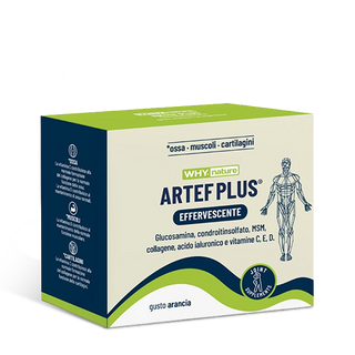 Artef Plus