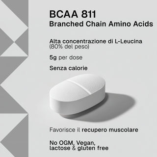 Bcaa 8:1:1
