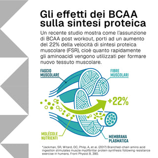 Bcaa 8:1:1
