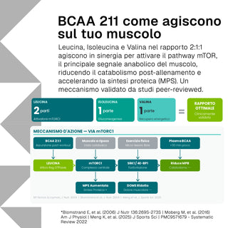 Bcaa 2:1:1