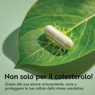 Colesterolo Evo