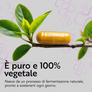 Coenzima Q10