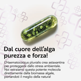 Astaxantina