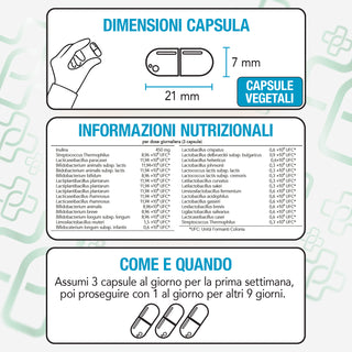 Fermenti Lattici Probiotici