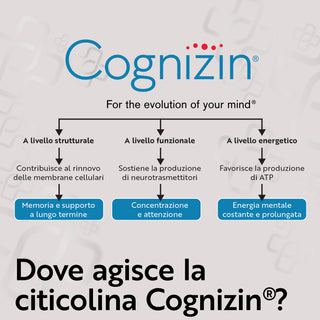 Citicolina Cognizin