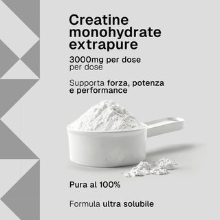 Creatine Monohydrate Micronized