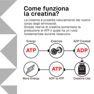 Creatine Monohydrate Micronized