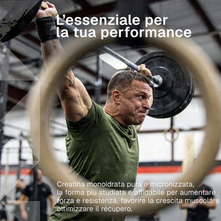 Creatine Monohydrate Micronized