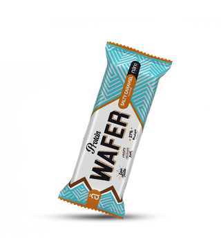 Protein Wafer
