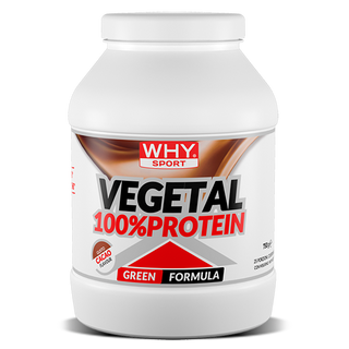 Vegetal 100% Protein