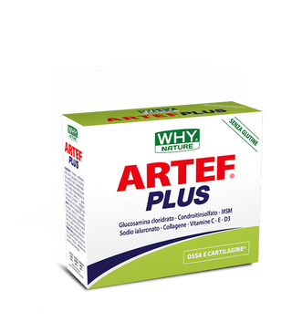 Artef Plus