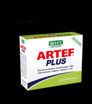 Artef Plus
