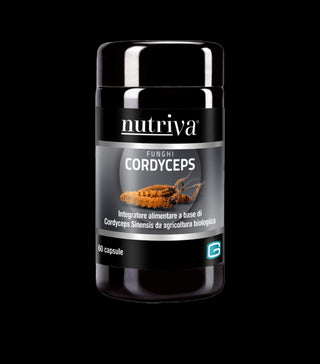Cordyceps