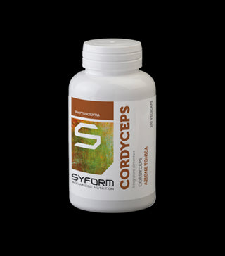 Cordyceps