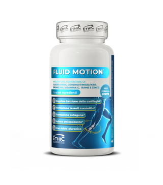 Fluid Motion