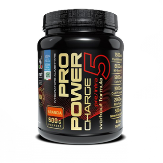 Pro-Power Charge 5