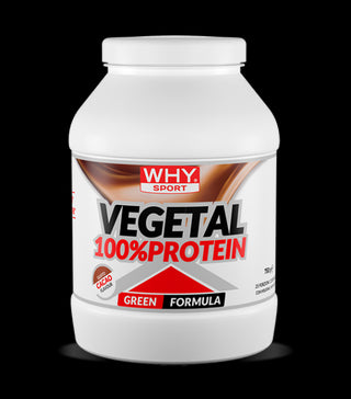 Vegetal 100% Protein